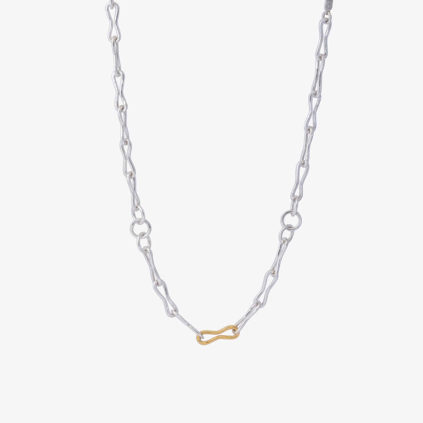 Bicolour Golden Horn Chain Necklace